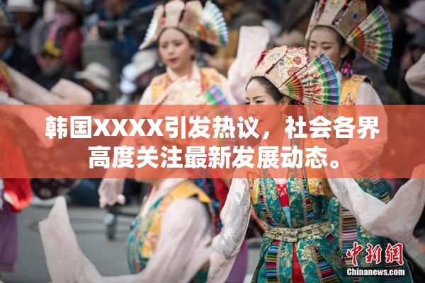 韩国XXXX引发热议，社会各界高度关注最新发展动态。