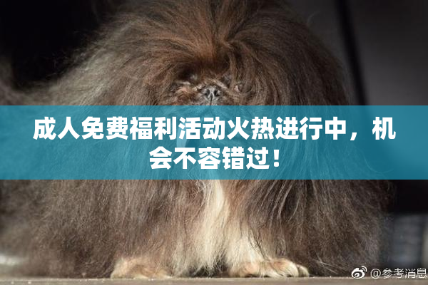 成人免费福利活动火热进行中，机会不容错过！