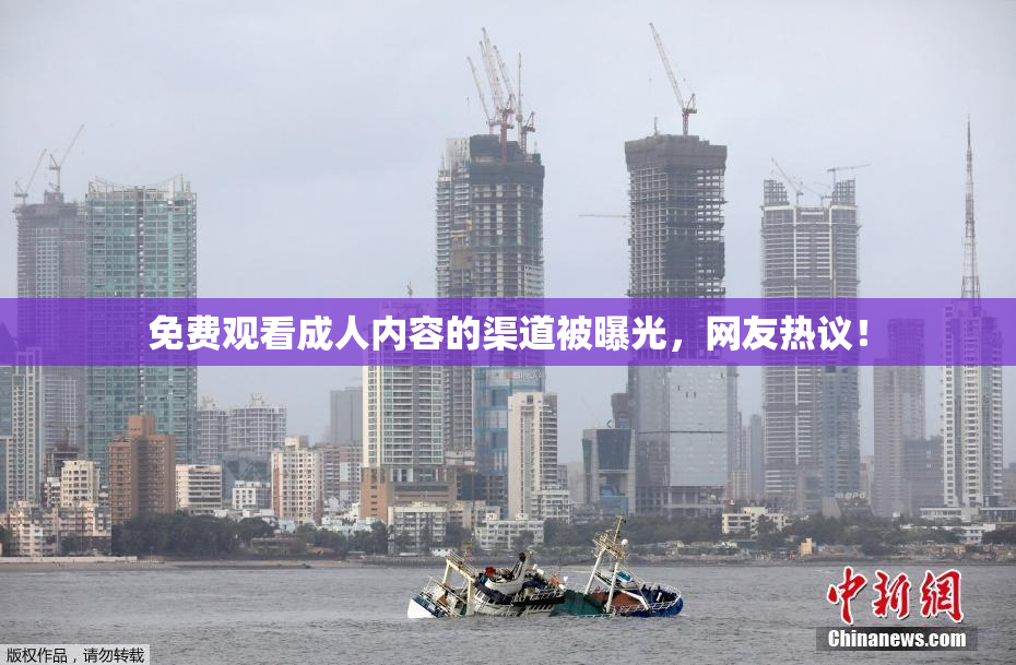 免费观看成人内容的渠道被曝光，网友热议！