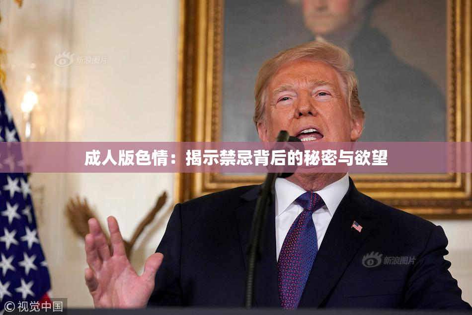 成人版色情：揭示禁忌背后的秘密与欲望