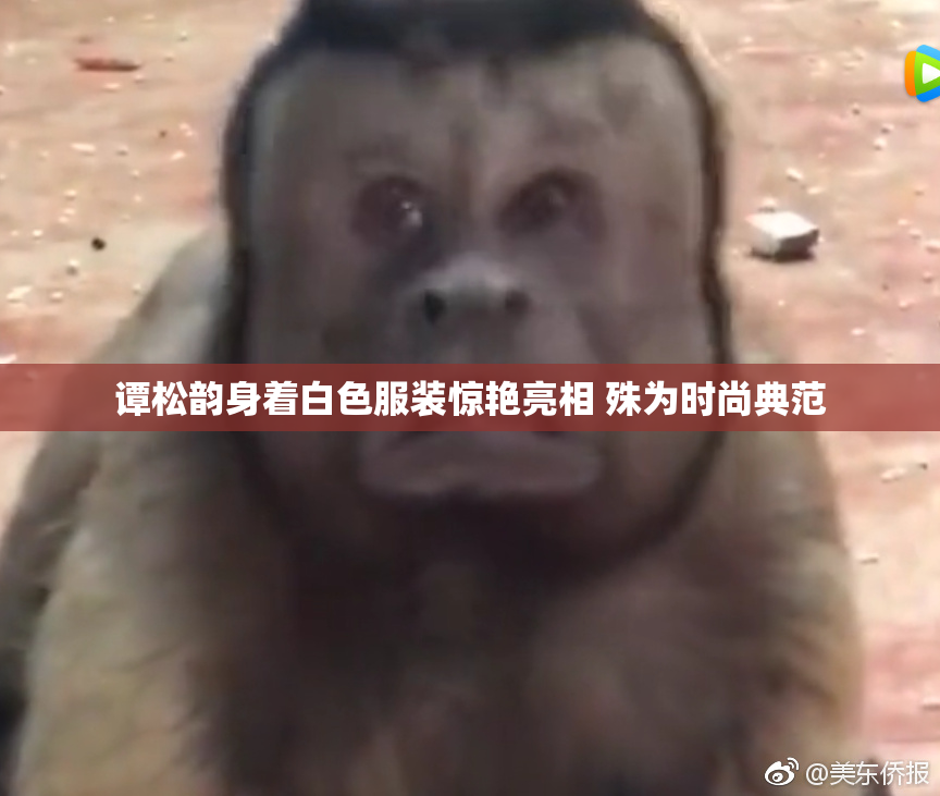 谭松韵身着白色服装惊艳亮相 殊为时尚典范
