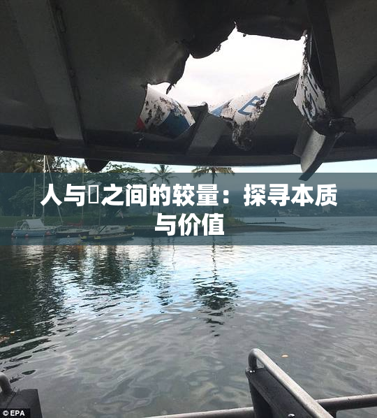 人与嘼之间的较量：探寻本质与价值