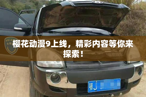 樱花动漫9上线，精彩内容等你来探索！