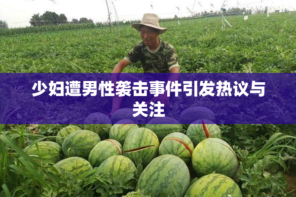 少妇遭男性袭击事件引发热议与关注