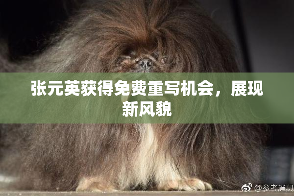 张元英获得免费重写机会，展现新风貌