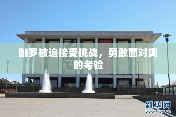 伽罗被迫接受挑战，勇敢面对爽的考验