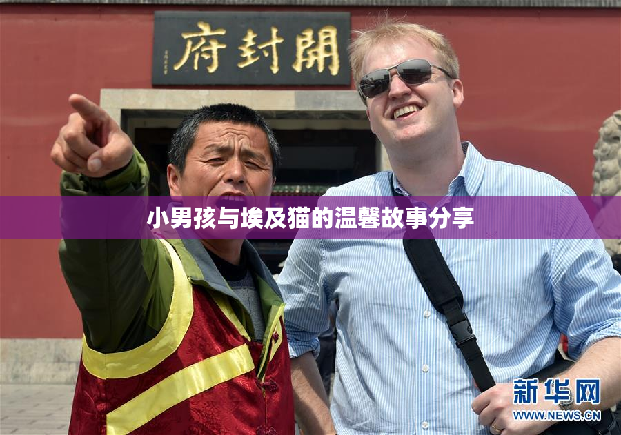 小男孩与埃及猫的温馨故事分享
