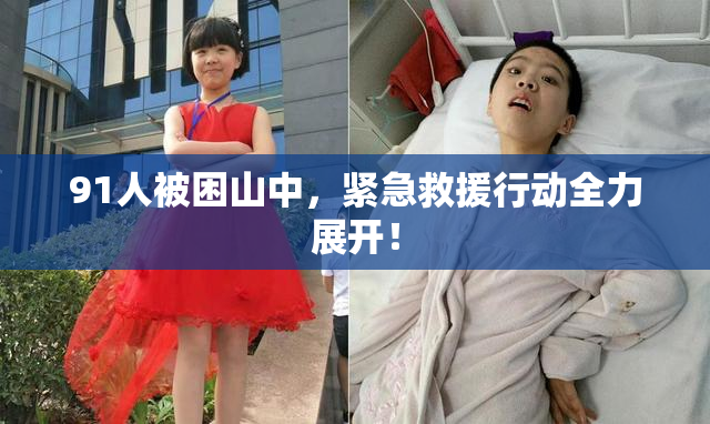 91人被困山中，紧急救援行动全力展开！