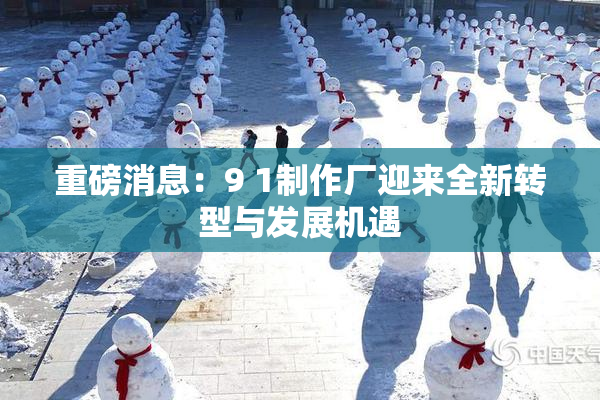 重磅消息：9 1制作厂迎来全新转型与发展机遇