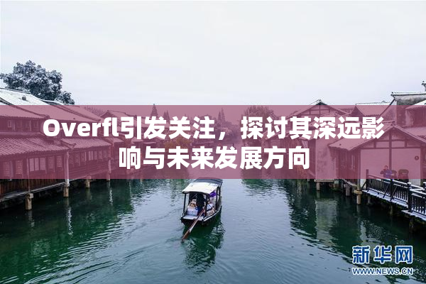 Overfl引发关注，探讨其深远影响与未来发展方向