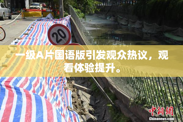 一级A片国语版引发观众热议，观看体验提升。