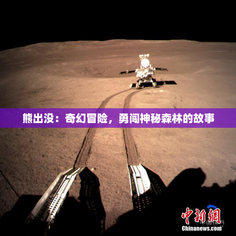 熊出没：奇幻冒险，勇闯神秘森林的故事