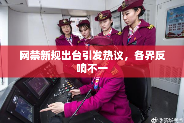 网禁新规出台引发热议，各界反响不一