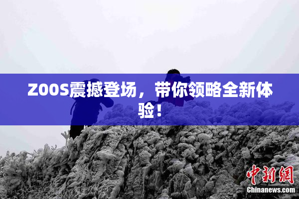 Z00S震撼登场，带你领略全新体验！
