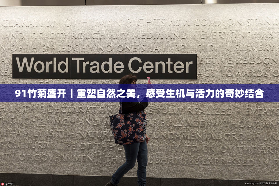 91竹菊盛开丨重塑自然之美，感受生机与活力的奇妙结合