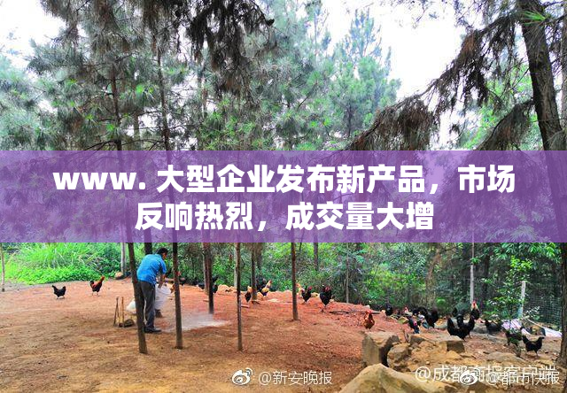 www. 大型企业发布新产品，市场反响热烈，成交量大增