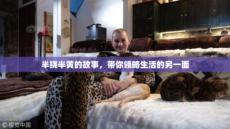 半挠半黄的故事，带你领略生活的另一面