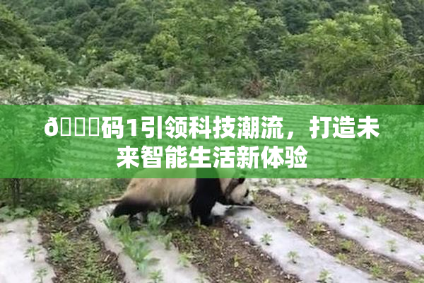 🈚码1引领科技潮流，打造未来智能生活新体验