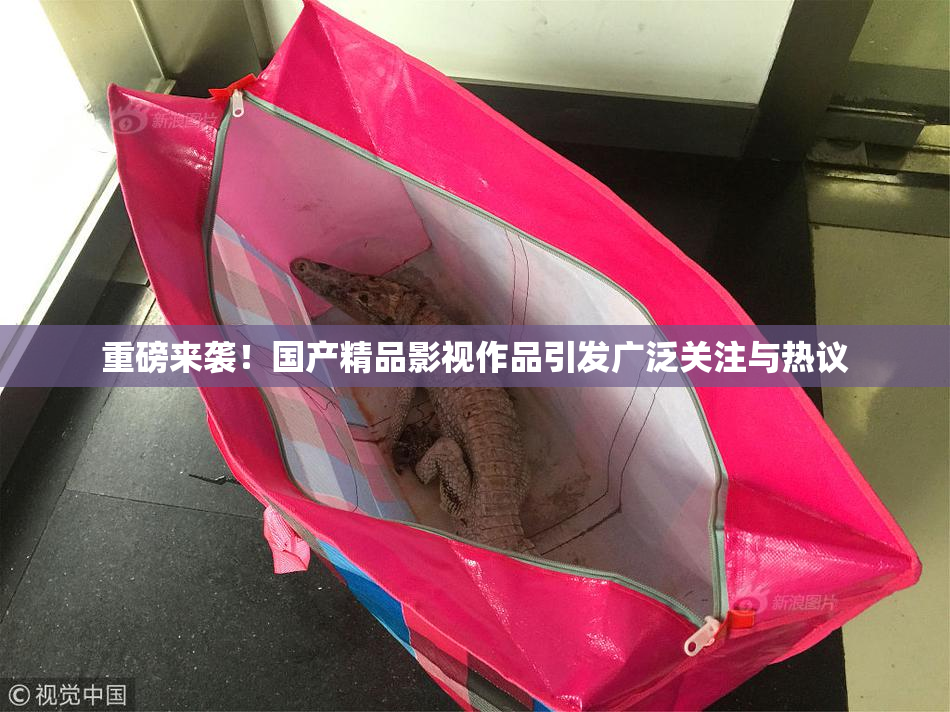 重磅来袭！国产精品影视作品引发广泛关注与热议