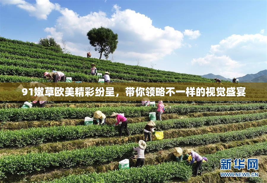 91嫩草欧美精彩纷呈，带你领略不一样的视觉盛宴