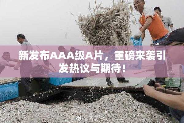 新发布AAA级A片，重磅来袭引发热议与期待！