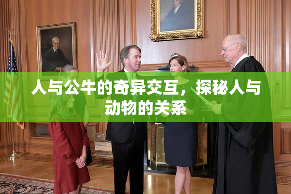 人与公牛的奇异交互，探秘人与动物的关系