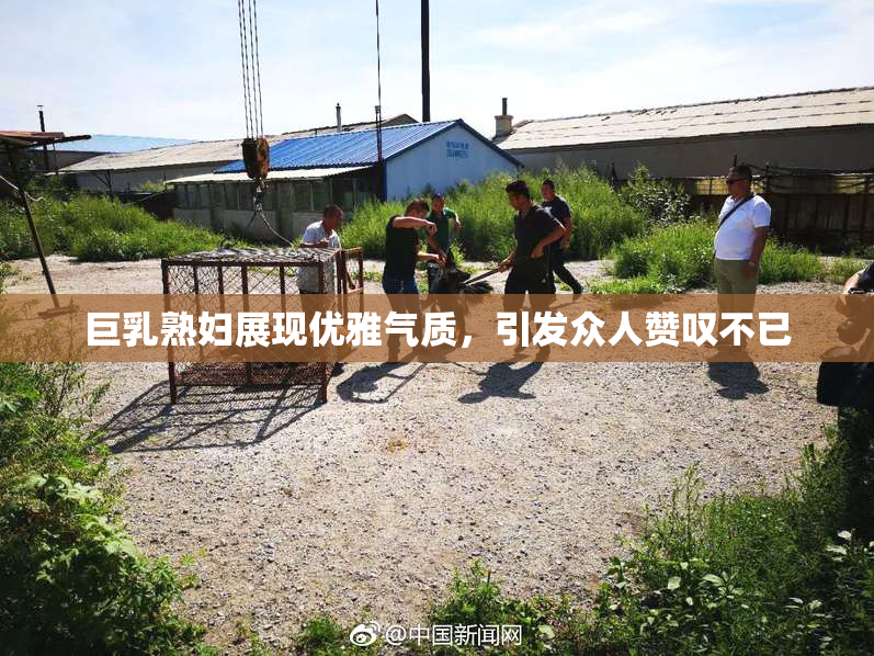巨乳熟妇展现优雅气质，引发众人赞叹不已