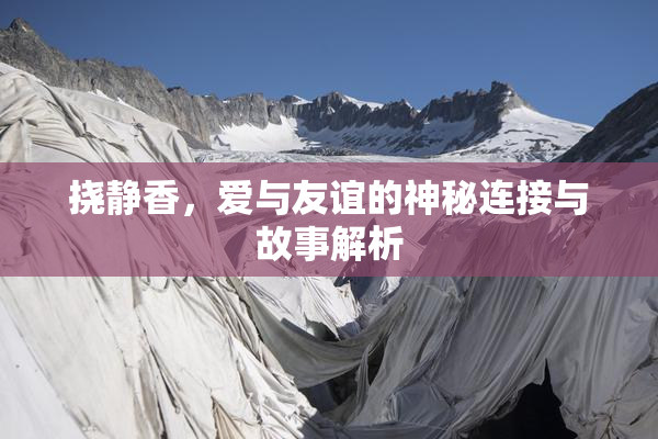 挠静香，爱与友谊的神秘连接与故事解析