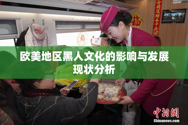 欧美地区黑人文化的影响与发展现状分析
