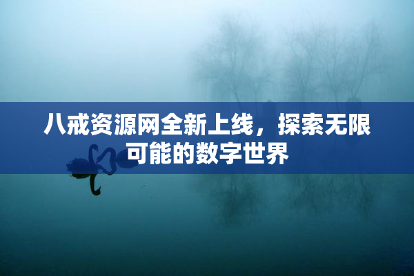 八戒资源网全新上线，探索无限可能的数字世界