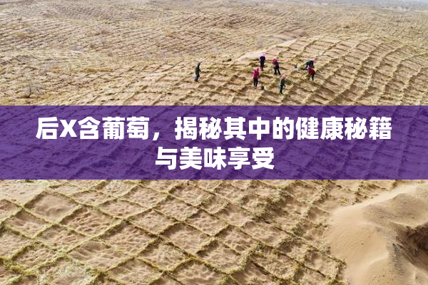后X含葡萄，揭秘其中的健康秘籍与美味享受