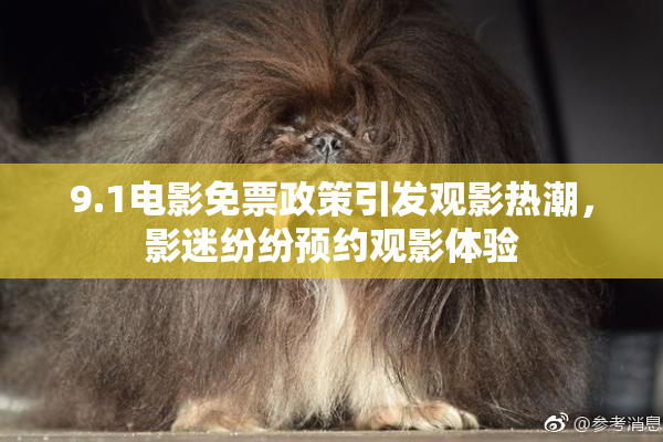 9.1电影免票政策引发观影热潮，影迷纷纷预约观影体验