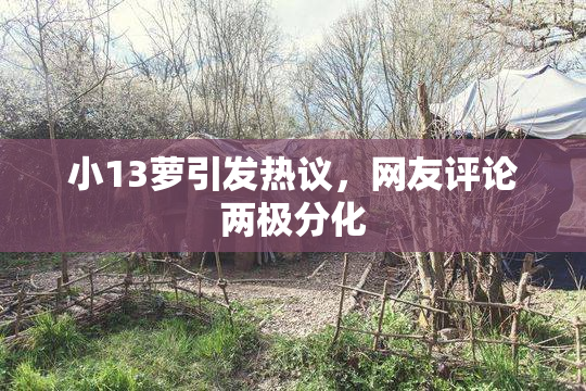 小13萝引发热议，网友评论两极分化