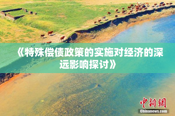 《特殊偿债政策的实施对经济的深远影响探讨》