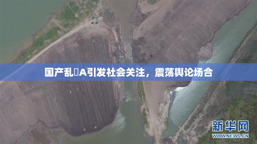 国产乱婬A引发社会关注，震荡舆论场合