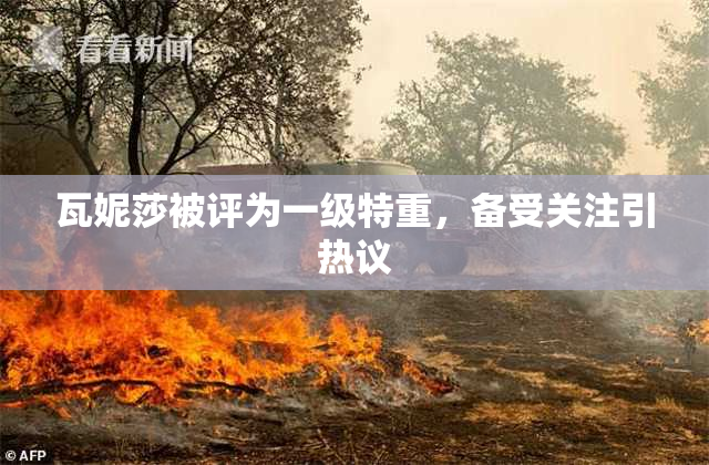 瓦妮莎被评为一级特重，备受关注引热议