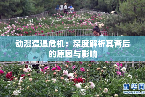 动漫遭遇危机：深度解析其背后的原因与影响