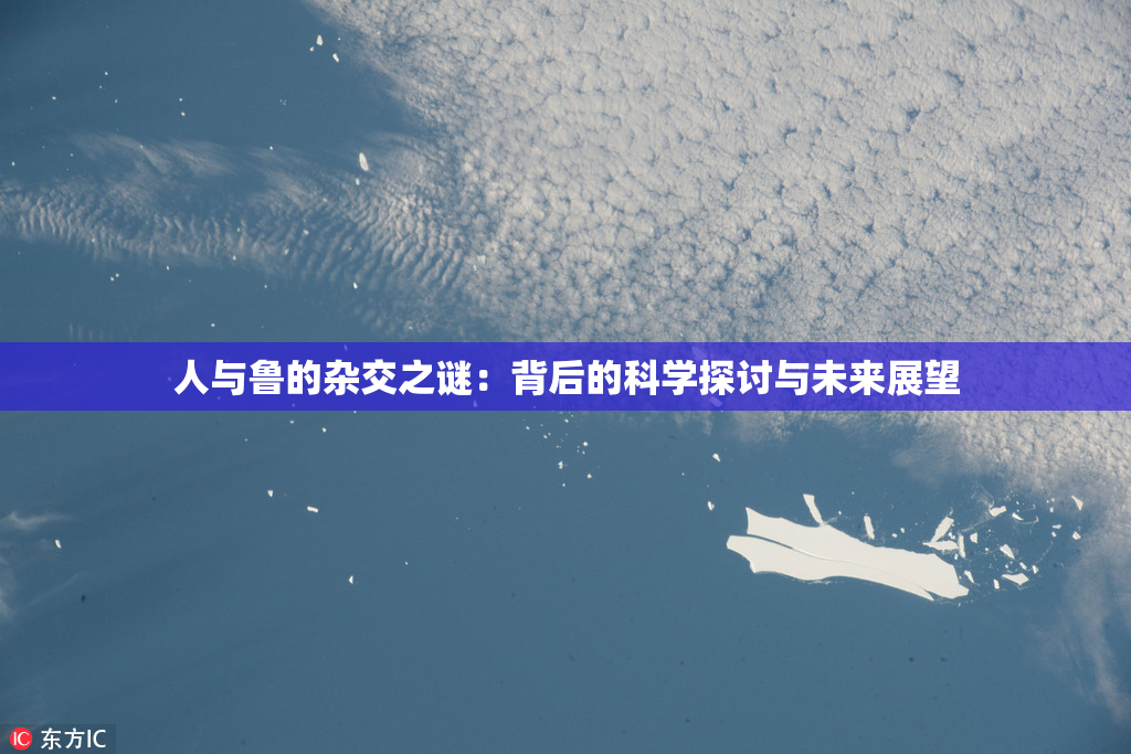 人与鲁的杂交之谜：背后的科学探讨与未来展望