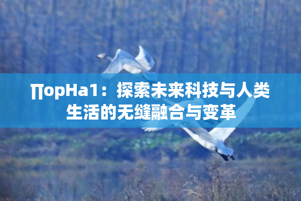 ∏opHa1：探索未来科技与人类生活的无缝融合与变革
