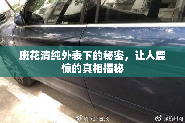 班花清纯外表下的秘密，让人震惊的真相揭秘