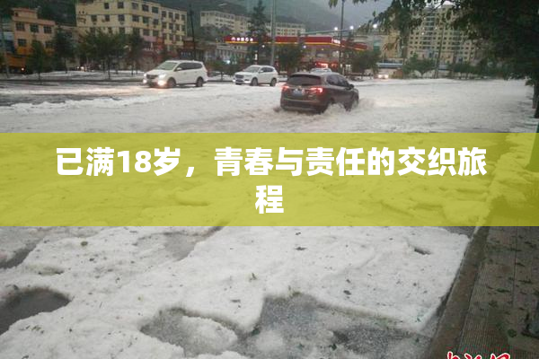 已满18岁，青春与责任的交织旅程