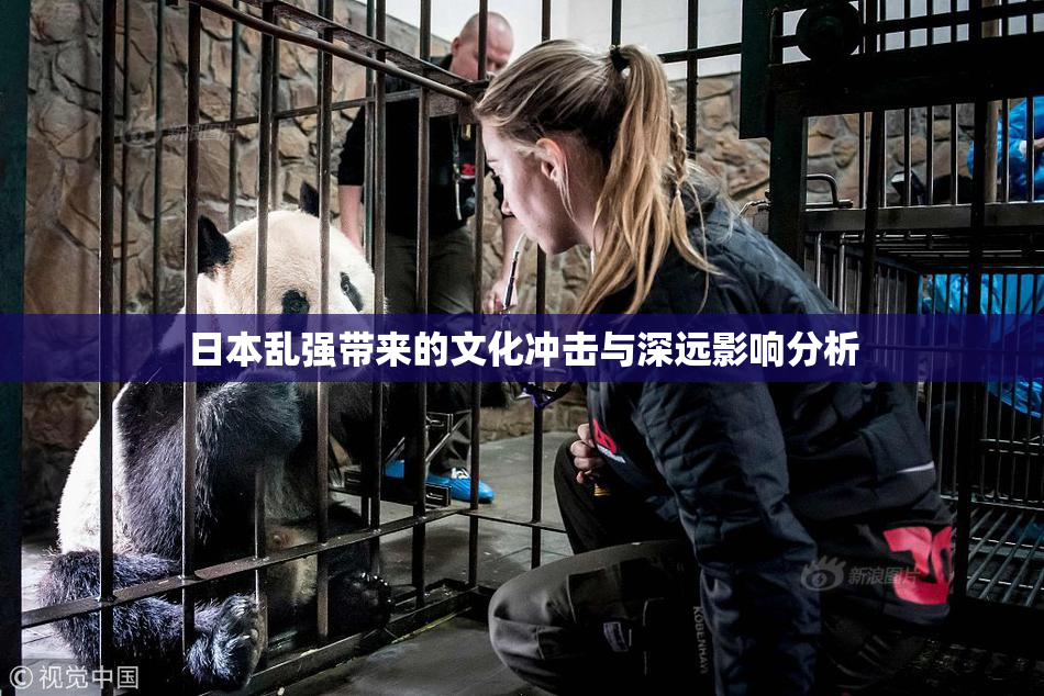 日本乱强带来的文化冲击与深远影响分析