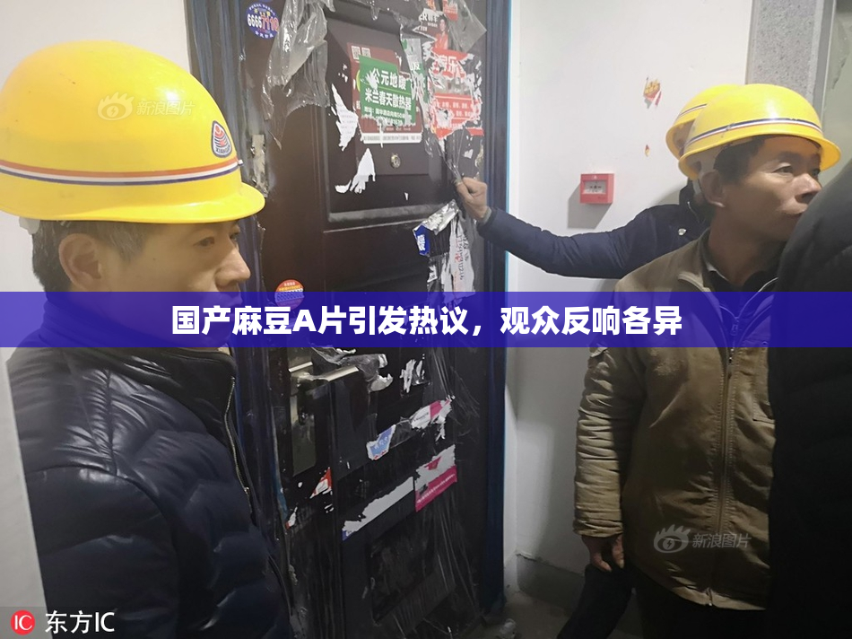 国产麻豆A片引发热议，观众反响各异