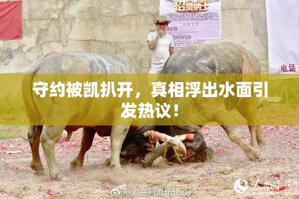 守约被凯扒开，真相浮出水面引发热议！