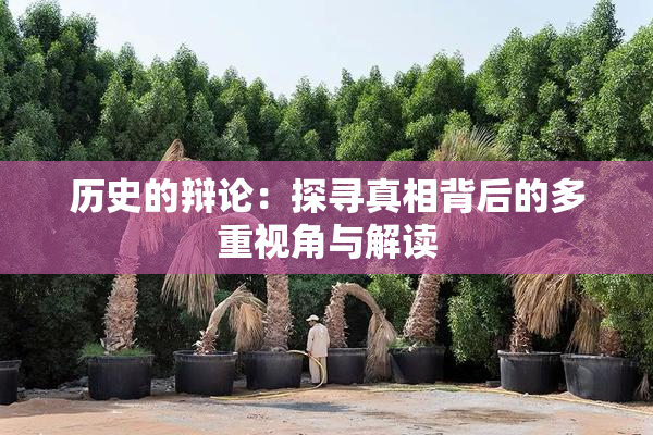 历史的辩论：探寻真相背后的多重视角与解读