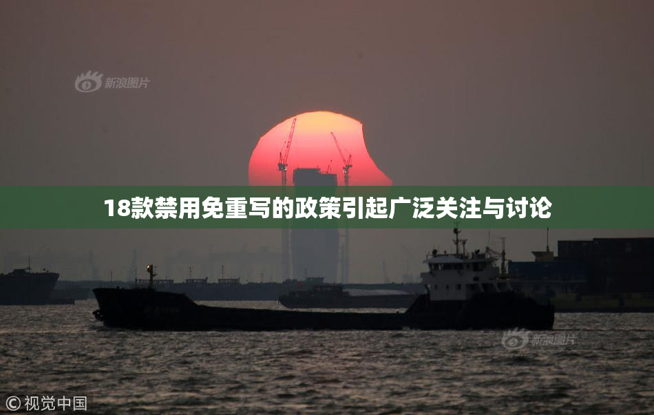 18款禁用免重写的政策引起广泛关注与讨论