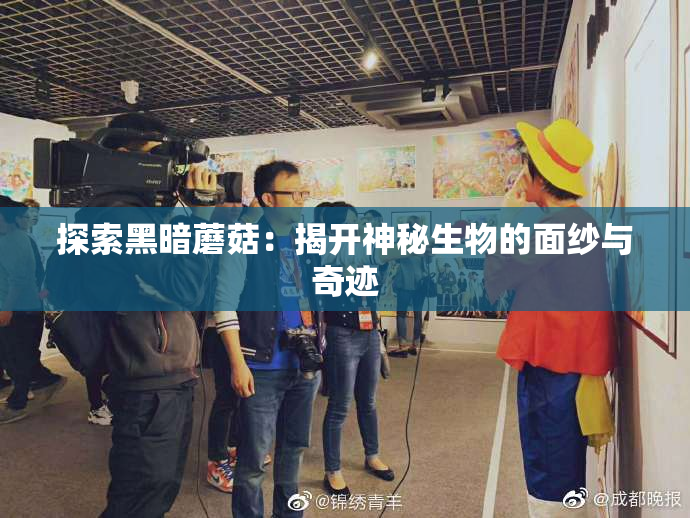 探索黑暗蘑菇：揭开神秘生物的面纱与奇迹
