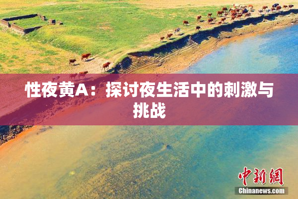 性夜黄A：探讨夜生活中的刺激与挑战