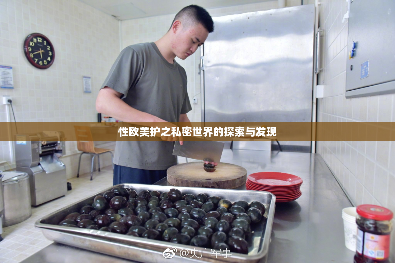 性欧美护之私密世界的探索与发现