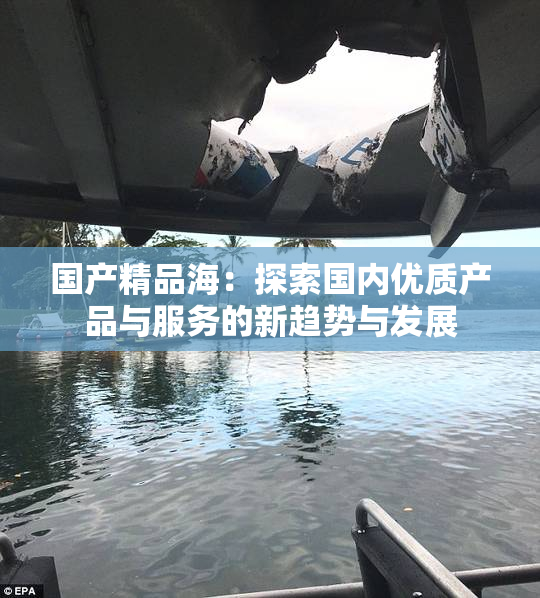 国产精品海：探索国内优质产品与服务的新趋势与发展